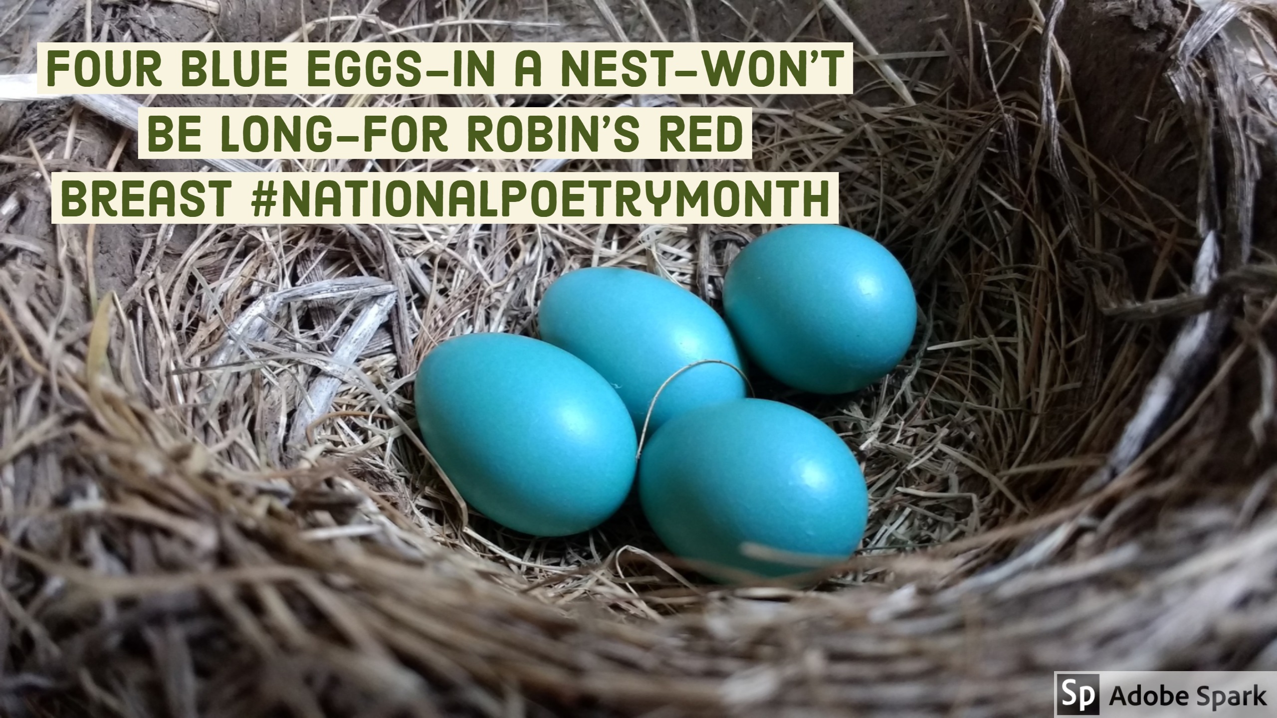 4 National Poetry Month