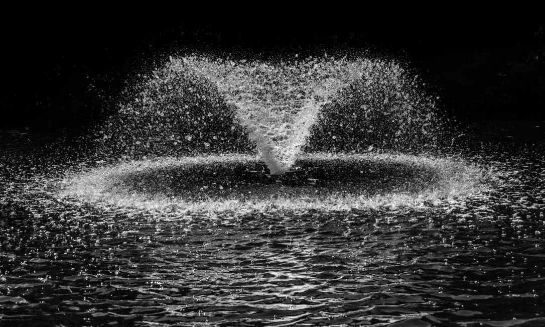 abstract black black and white circle