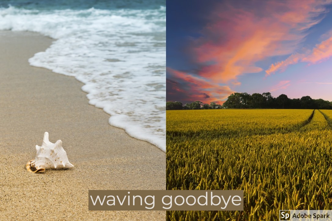 My Post - 2019-03-18T124425.234