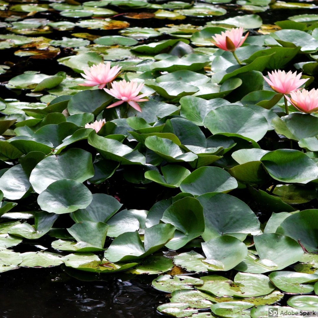 My Post - 2019-04-04T214836.517