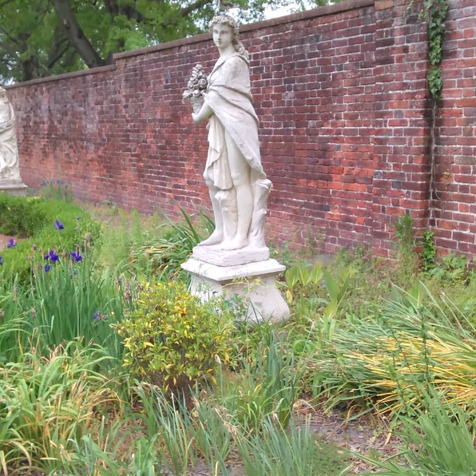 59432398_10161655266540203_3775754764080381952_n