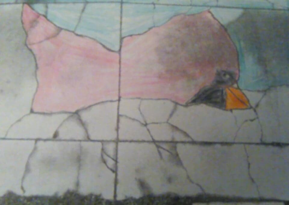 60364035_1696097180698033_4692728297501491200_n