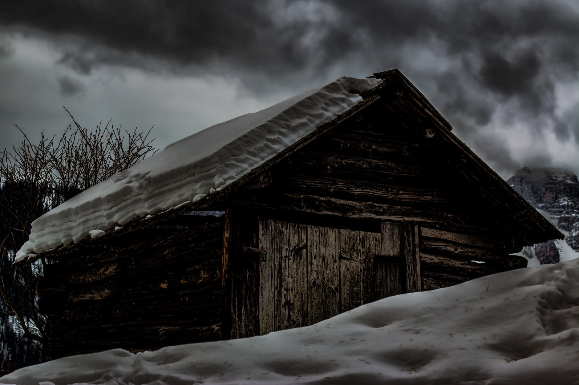 cabin covered by snow