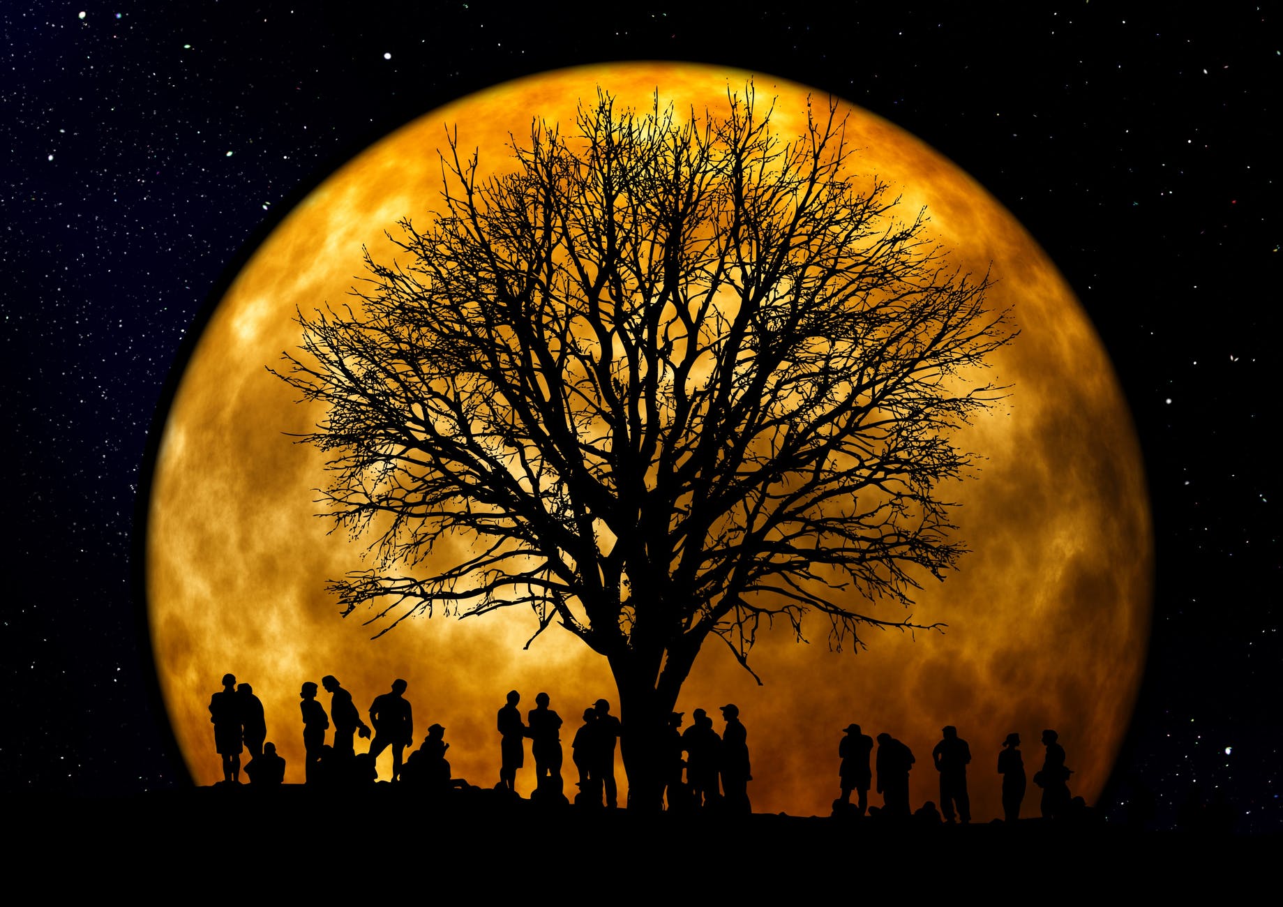 silhouette of people standing neat tree under the moon