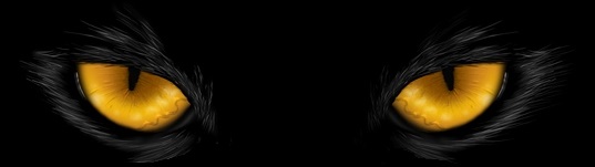 cateyes_black_dark