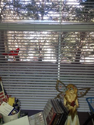 74906691_458750961430671_6682419790553808896_n