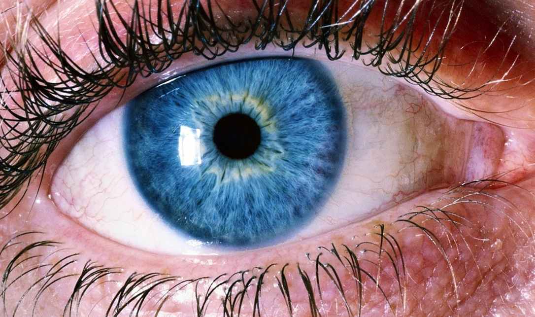 blue human eye