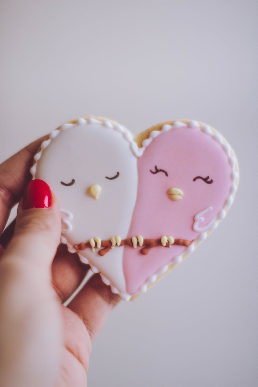 heart shaped white and pink cookie