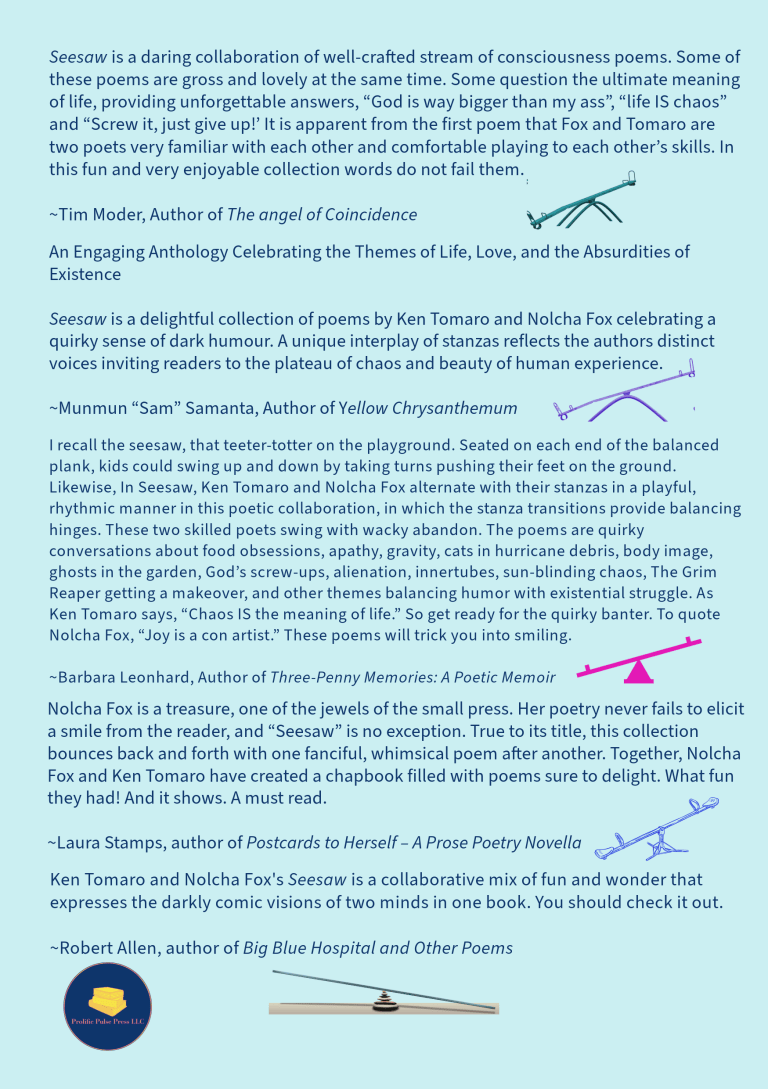 ANNOUNCEMENT! Seesaw – Quirky Poems by Ken Tomaro & Nolcha Fox is Now ...